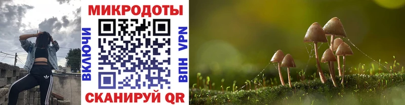 Галлюциногенные грибы Psilocybe  Купить закладки  Верхоянск 